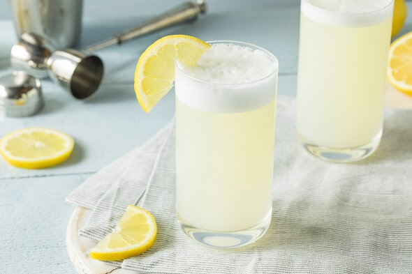 Koktejl Gin Fizz