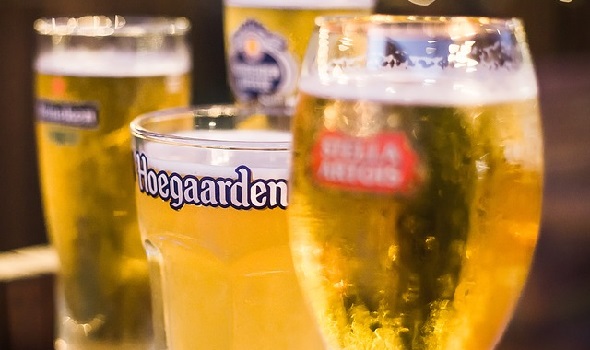 Pivo Hoegaarden